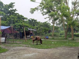 ময়মনসিংহ